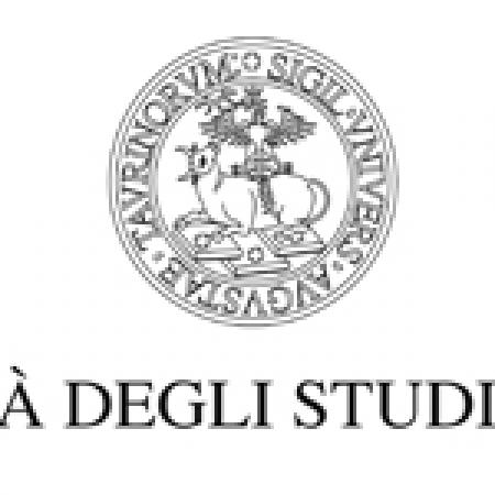 Logo ufficiale Università degli Studi di Torino