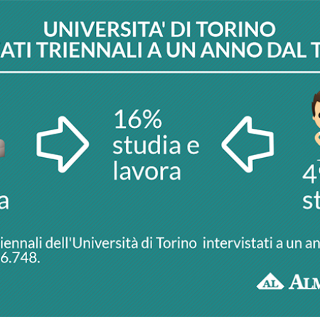I laureati dell'Università di Torino del 2013 alla prova del lavoro