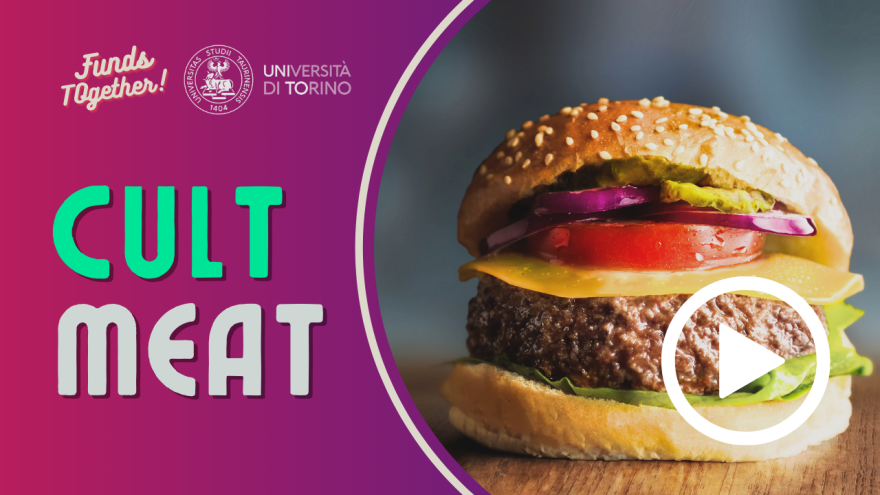 foto di hamburgher