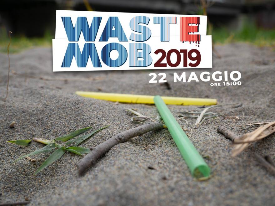 Logo Waste Mob