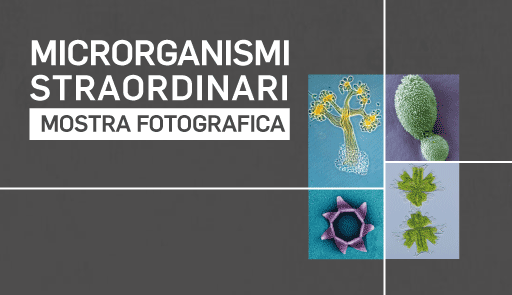 Alcune foto della mostra