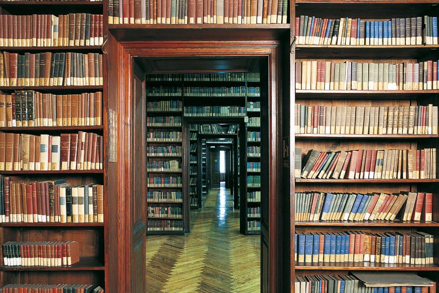 Scaffali di libri all'interno della biblioteca Arturo Graf