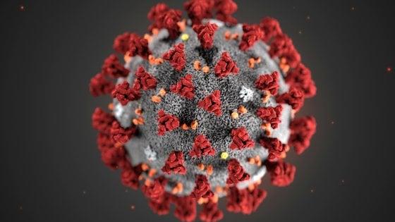 Immagine al microscopio del coronavirus - (reuters) - fonte:repubblica.it