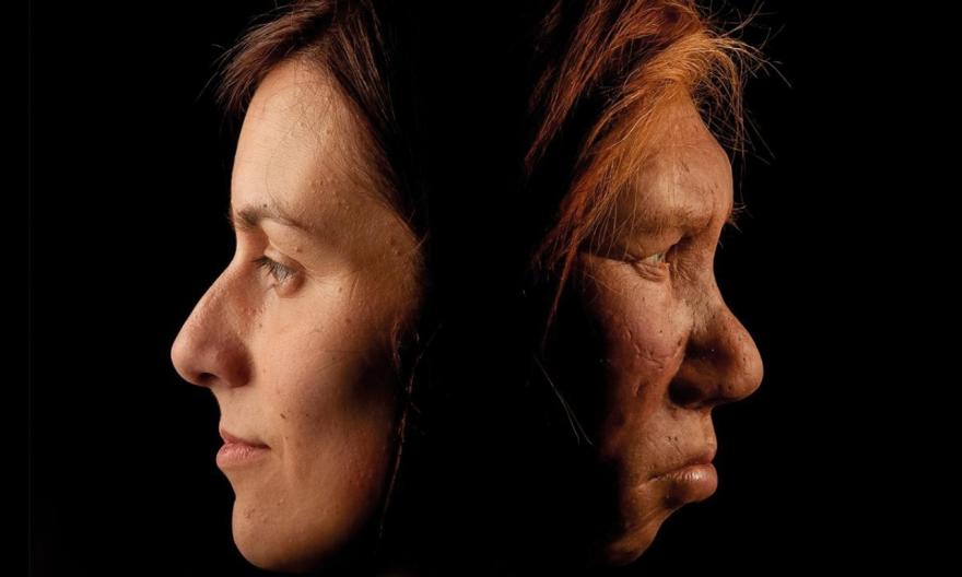 evocativa Neandertal Sapiens
