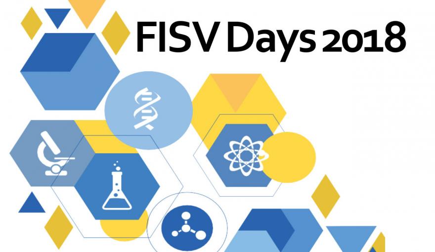 Immagine Fisv Days 2018