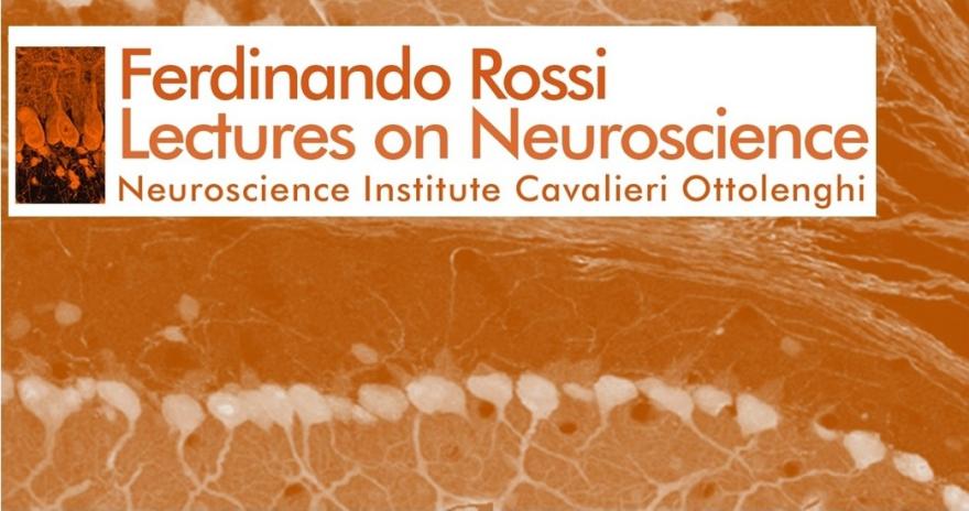 Ferdinando Rossi Lecture on Neuroscience 2019
