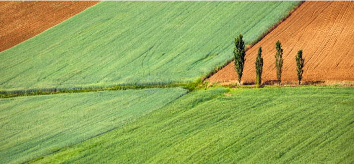 Paesaggio rurale