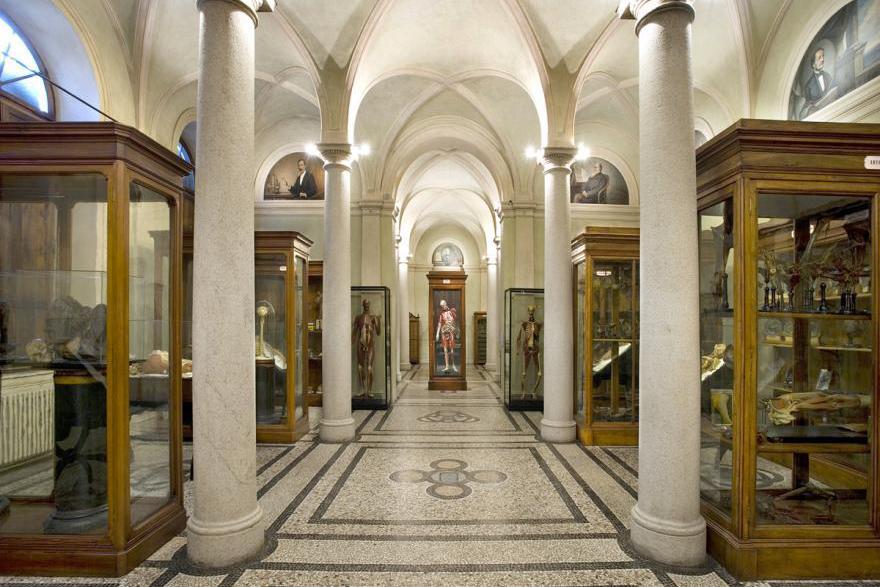 Museo di Anatomia Umana