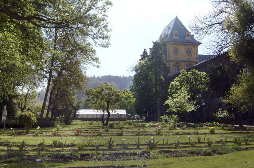 Orto Botanico