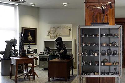 Museo di Scienze Veterinarie Museo di Scienze Veterinarie