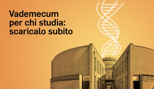 grafica immatricolazioni 23-24 - #2 #2 Vademecum per chi studia: scaricalo subito