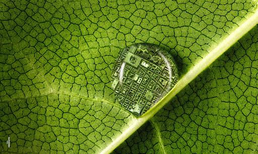 Ingrandimento di una foglia verde con goccia d'acqua