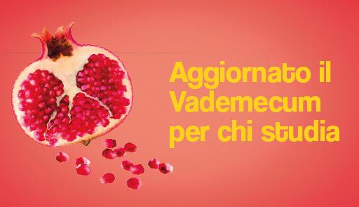 Aggiornato il "Vademecum per chi studia" melograno tagliato a metà con scritta: aggiornato il vademecum per chi studia