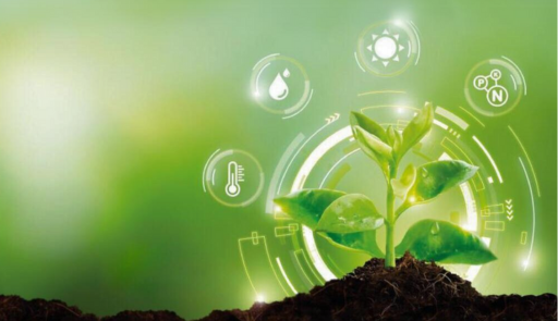 Bandi a cascata del Centro Nazionale per le tecnologie in agricoltura Agritech per enti di ricerca e imprese Piccola pianta su sfondo colorato