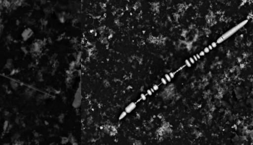 Fotografia della fibra di amianto Fotografia della fibra di amianto