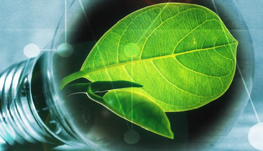 XXXVII ciclo Dottorati - Nuovi bandi per l'assegnazione di borse di dottorato aggiuntive su tematiche dell'Innovazione e Green foto all'interno di una lampadina