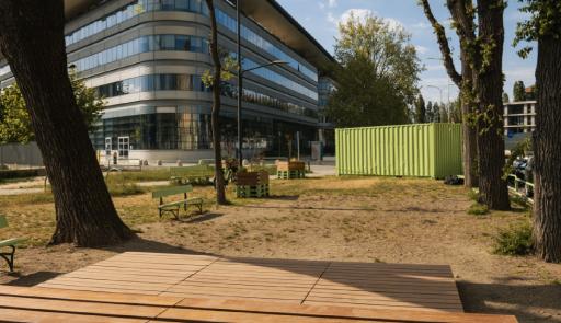 vista del campus, di alberi e una panchina
