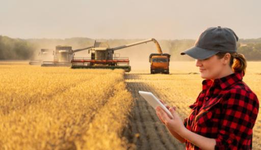 donna che scrive su una cartellina in mezzo a un campo di grano donna che scrive su una cartellina in mezzo a un campo di grano