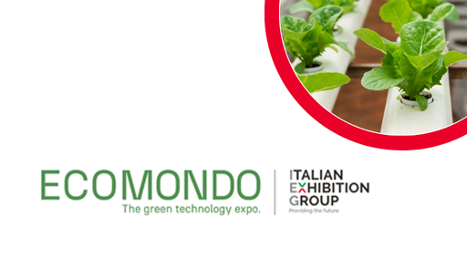 Grafica di ecomondo 2024