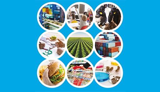 Progetto EFSET - European Food Systems Education and Training Grafica Progetto EFSET - EIT Food