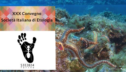 titolo dell'evento su fondo colorato titolo dell'evento su fondo colorato