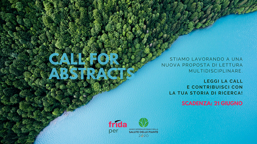 Frida per l'Anno Internazionale della Salute delle Piante Foto dall'alto di una fitta foresta che termina sulle rive del mare/lago