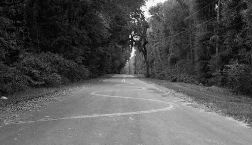Foto di una strada all'interno di un bosco