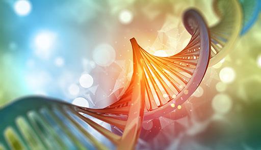 Test del DNA Fetale: stato dell'arte - © GettyImages Struttura ad elica del DNA