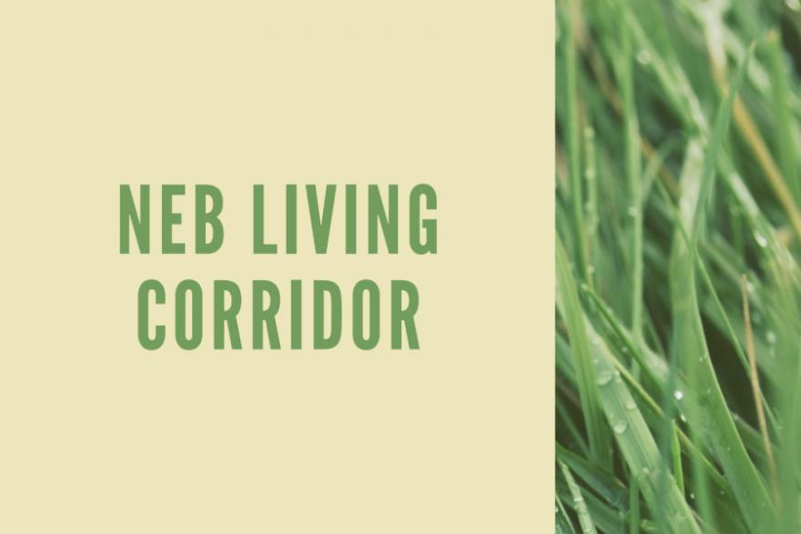 Grafica su sfondo beige e verde con scritta NEB Living Corridor