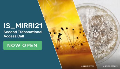 IS MIRR 121