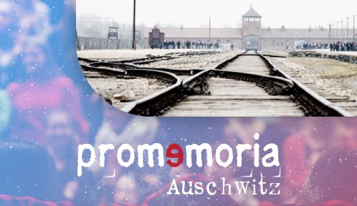 I binari che arrivano ad Auschwitz