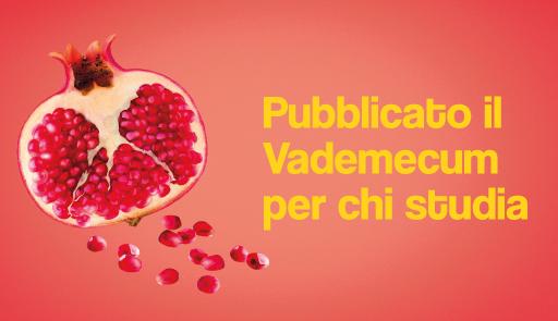 Pubblicato il vademecum per chi studia melograno tagliato a metà con scritta: pubblicato il vademecum per chi studia