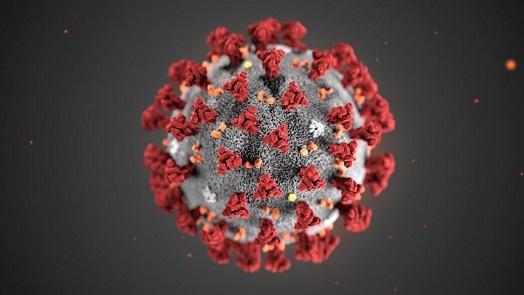foto di un coronavirus
