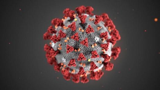 The Impact of Covid-19 on Conflicts in the Middle East: a Comparative Perspective foto di un coronavirus