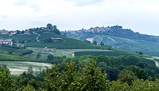 Veduta collinare delle Langhe