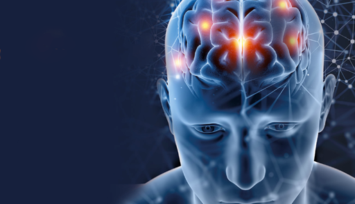 disegno di una testa umana con la vista del cervello disegno di una testa umana con la vista del cervello