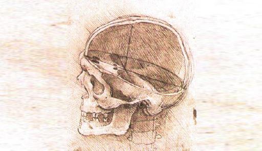 vista di un cranio, Leonardo da Vinci