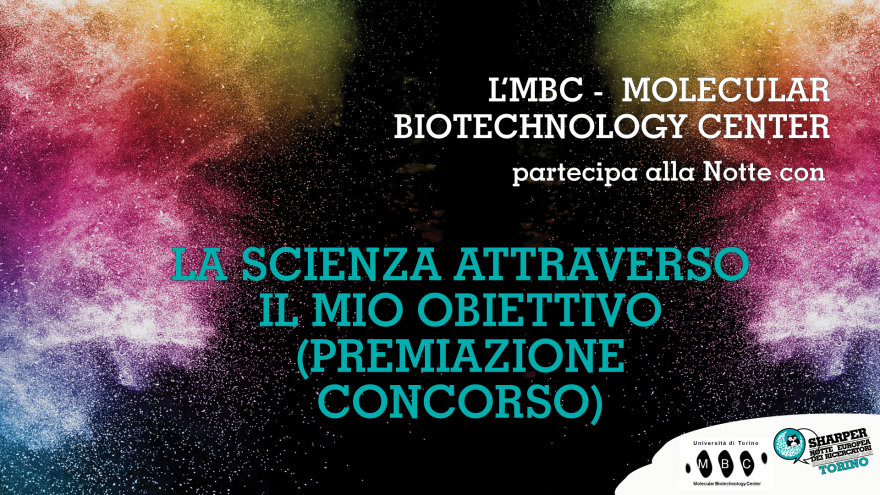 Grafica della Notte dei Ricercatori 2020 con scritta PREMIAZIONE CONCORSO