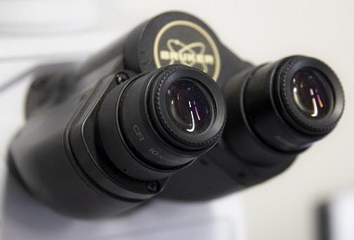 Microscopio utilizzato nella sede di Biologia