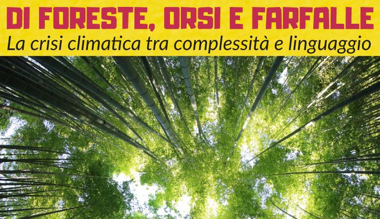 Cime di alberi viste dal basso