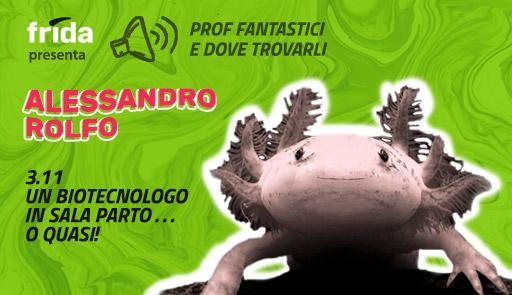 Un biotecnologo in sala parto... o quasi! foto di un'Axolotl, salamandra messicana, su sfondo colorato