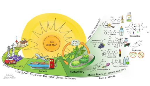 Citocromi P450: biodiversità e biotecnologie Immagine stile fumetto sui temi del congresso
