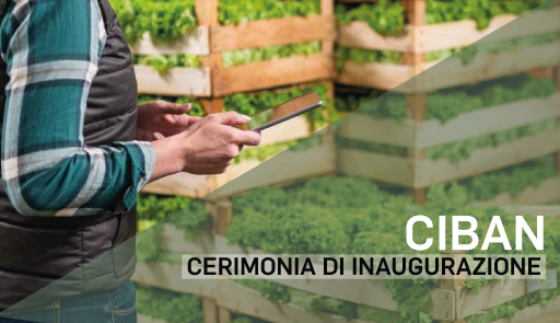 busto di un uomo che tiene in mano un tablet, sollo sfondo cassette di verdura