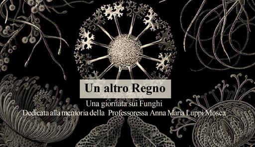 Immagine decorativa.