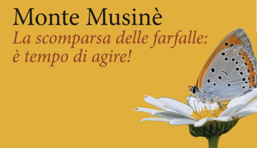 titolo dell'evento su fondo colorato titolo dell'evento su fondo colorato
