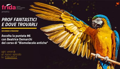 Prof Fantastici - Seconda stagione - Episodio 6 Prof Fantastici