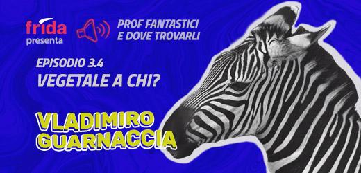 Terza stagione "Prof fantastici e dove trovarli"- 3.4 Vegetale a chi? zebra su sfondo colorato e frase: episodio 3.4 vegetale a chi? Vladimiro Guarnaccia
