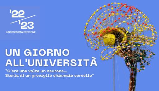 costruzione a forma di cervello colorato