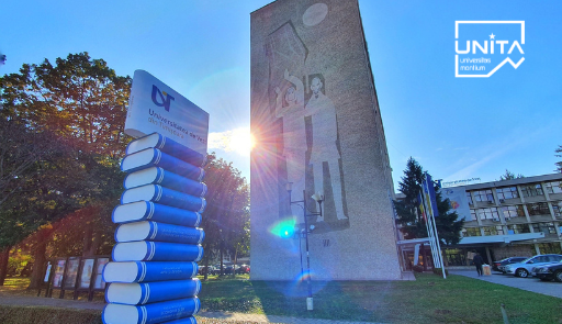 monumento in pietra presente all'esterno dell'Università di Timișoara