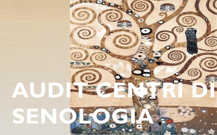 Audit Centri di senologia Immagine stilizzata di un albero con titolo Audit Centri di senologia